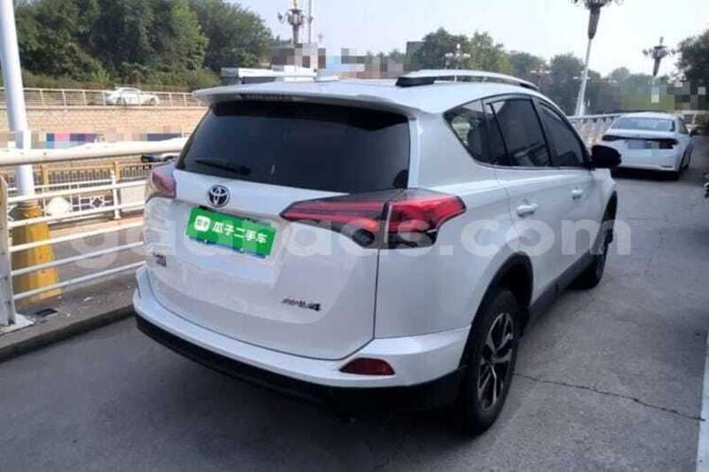 Big with watermark toyota rav4 kolda dabo 34795