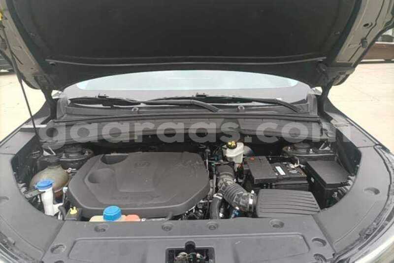 Big with watermark changan cs55 dakar dakar 34809