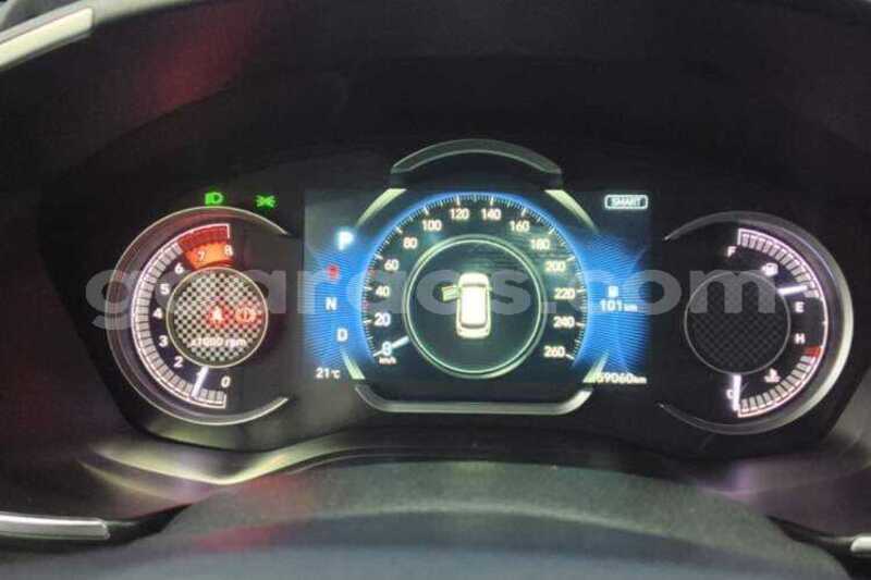 Big with watermark hyundai santa fe dakar dakar 34813