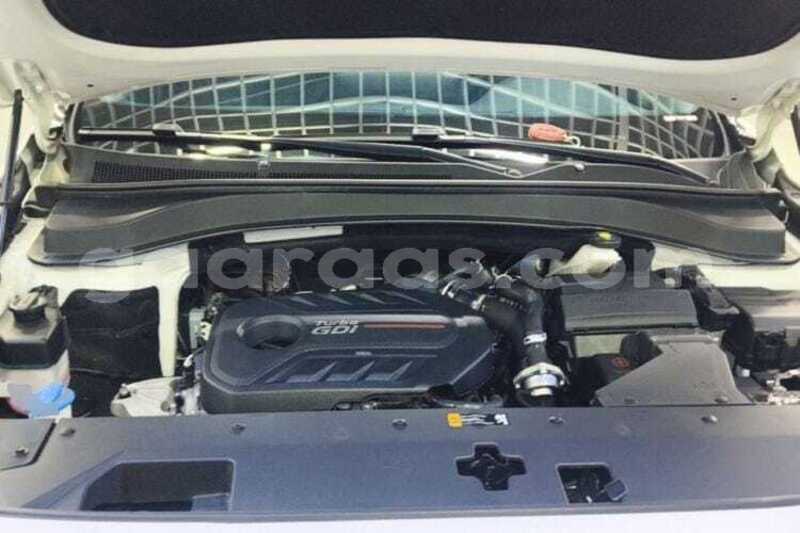 Big with watermark hyundai santa fe dakar dakar 34813