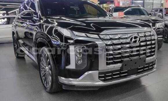 Acheter Occasion Voiture Hyundai Palisade Noir à Dakar, Dakar