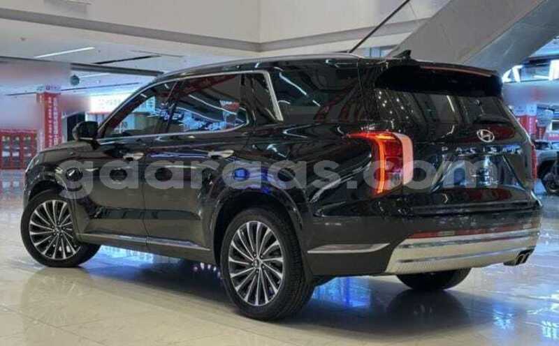Big with watermark hyundai palisade dakar dakar 34816