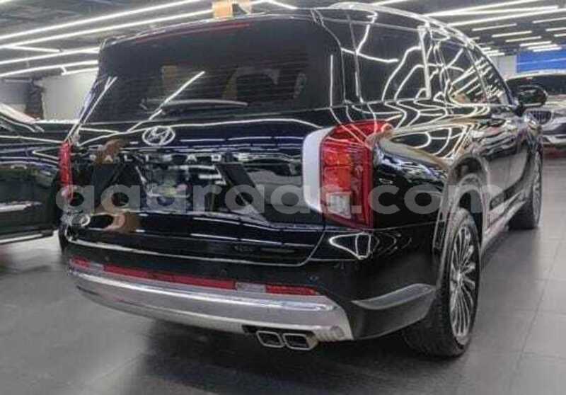 Big with watermark hyundai palisade dakar dakar 34816