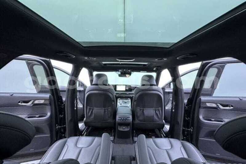Big with watermark hyundai palisade dakar dakar 34816