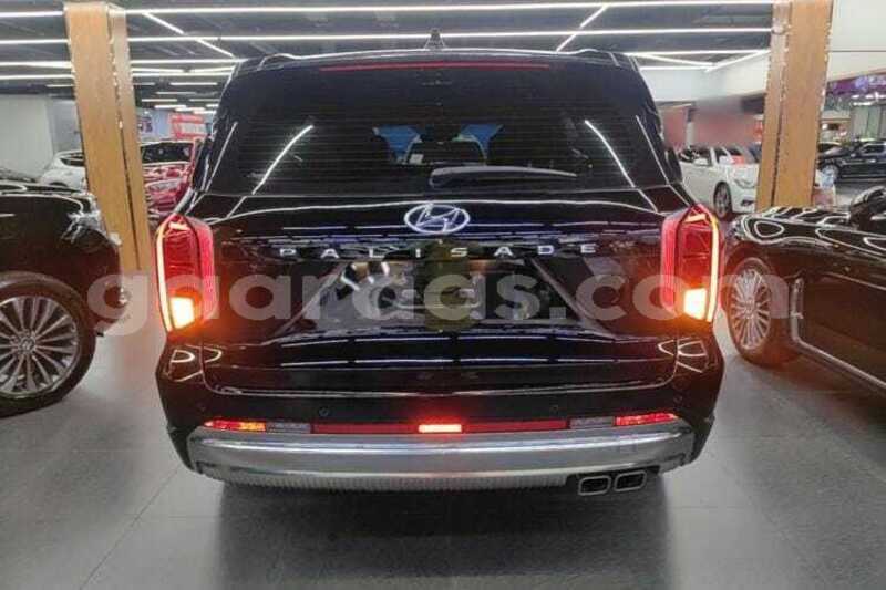 Big with watermark hyundai palisade dakar dakar 34816