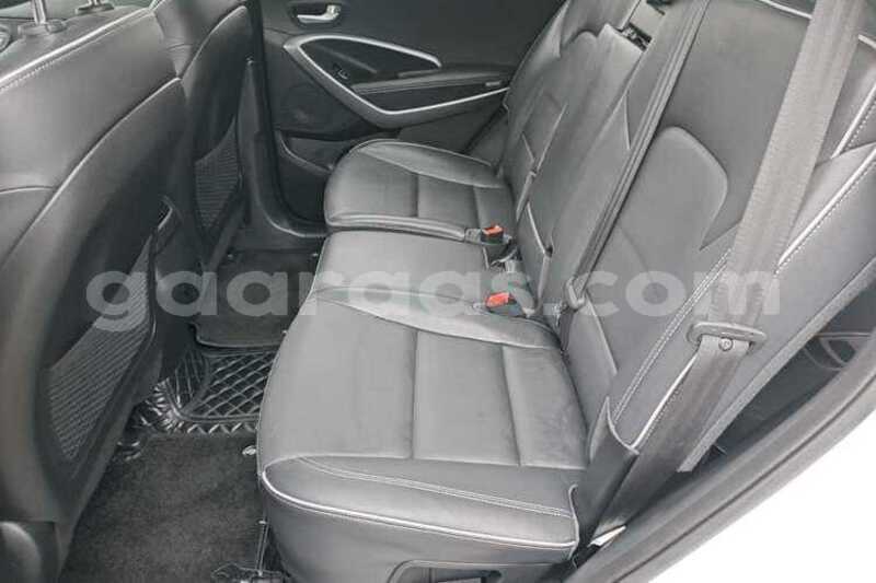 Big with watermark hyundai santa fe dakar dakar 34818