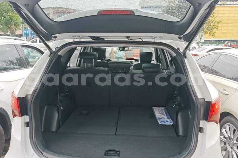 Big with watermark hyundai santa fe dakar dakar 34818