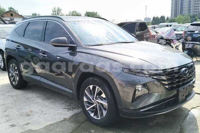 Big with watermark hyundai tucson dakar dakar 34820