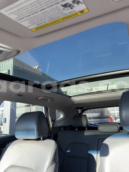 Big with watermark hyundai tucson dakar dakar 34841