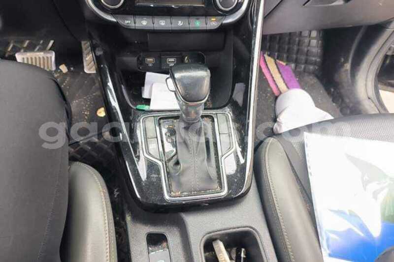 Big with watermark kia sportage dakar dakar 34842