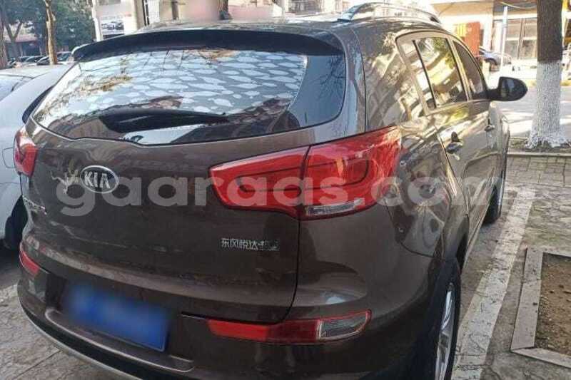 Big with watermark kia sportage dakar dakar 34843