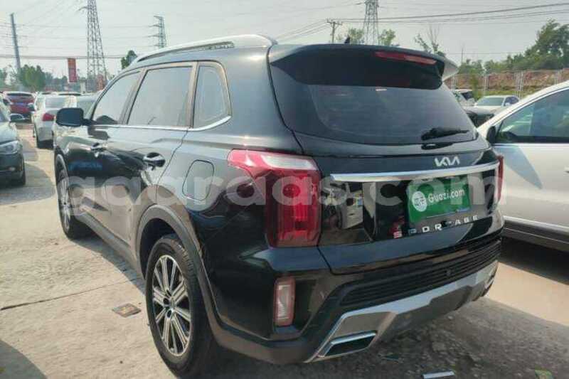 Big with watermark kia sportage kolda dabo 34846
