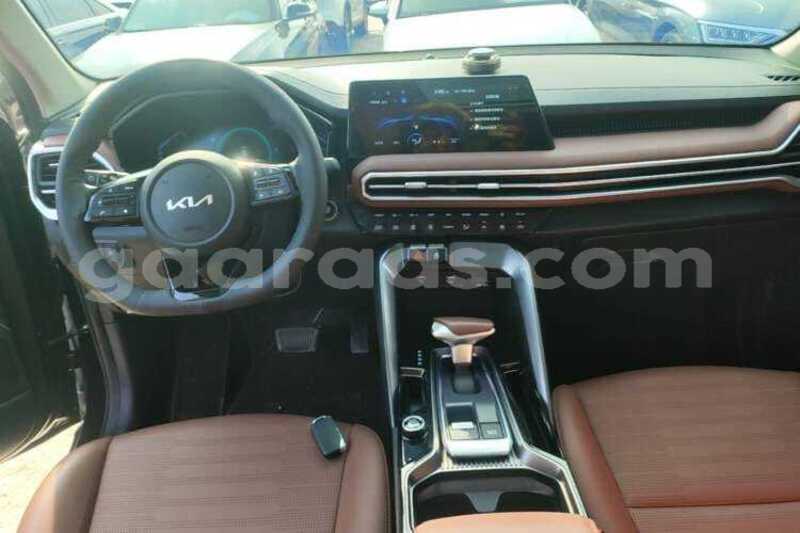 Big with watermark kia sportage kolda dabo 34846