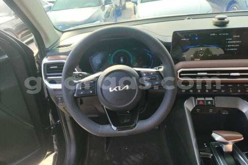 Big with watermark kia sportage kolda dabo 34846
