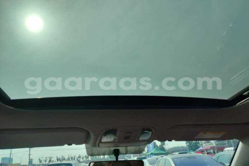 Big with watermark kia sportage kolda dabo 34846