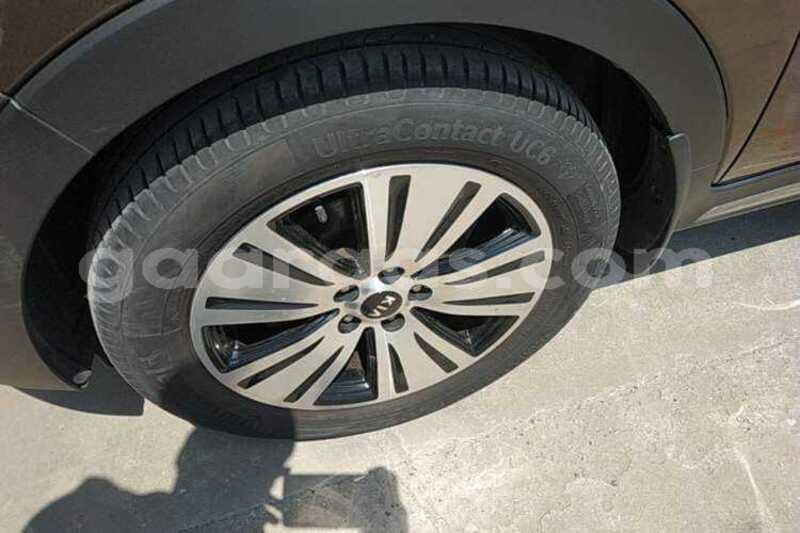 Big with watermark kia sportage dakar dakar 34847