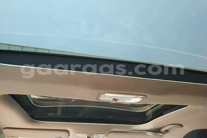 Big with watermark kia sportage dakar dakar 34847