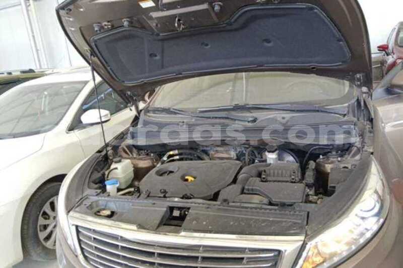 Big with watermark kia sportage dakar dakar 34849