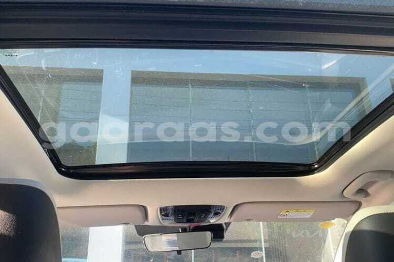 Big with watermark kia sportage dakar dakar 34851