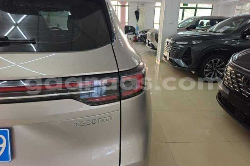 Big with watermark changan cs55 kolda dabo 34855
