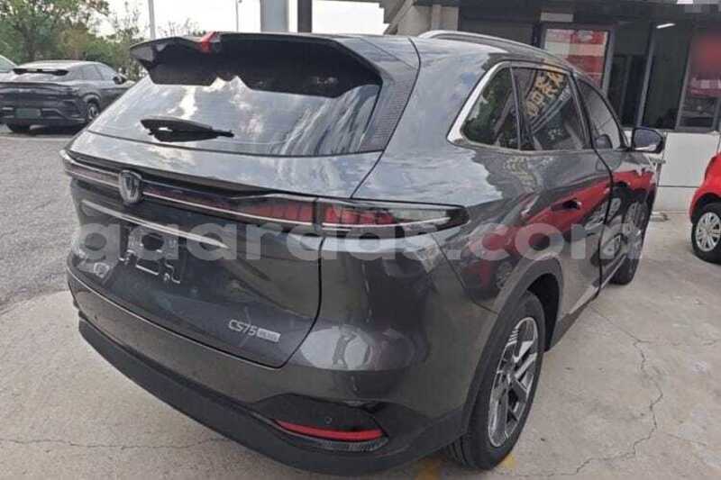 Big with watermark changan cs75 dakar dakar 34871