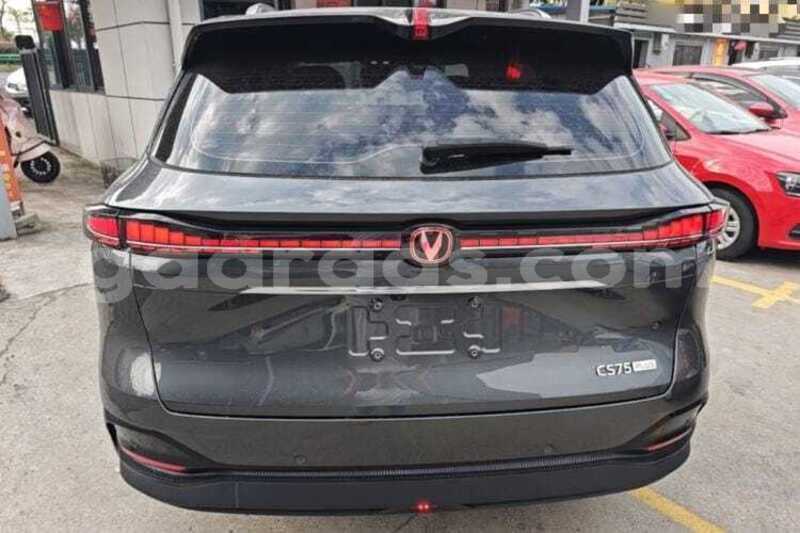 Big with watermark changan cs75 dakar dakar 34871