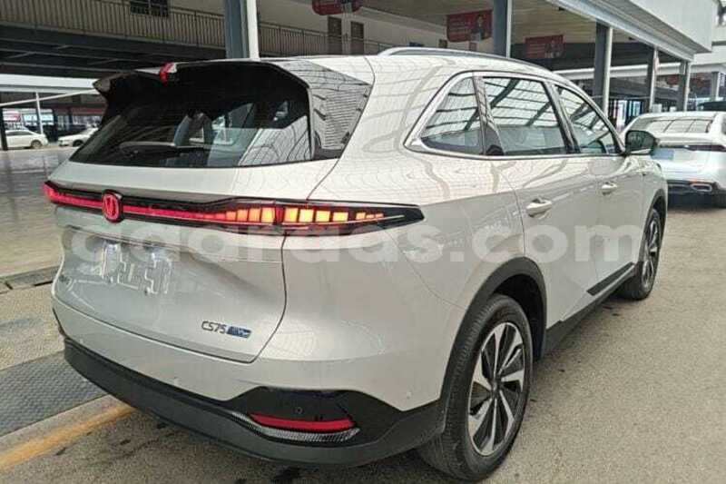Big with watermark changan cs75 dakar dakar 34872