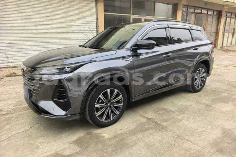 Big with watermark changan cs75 dakar dakar 34874