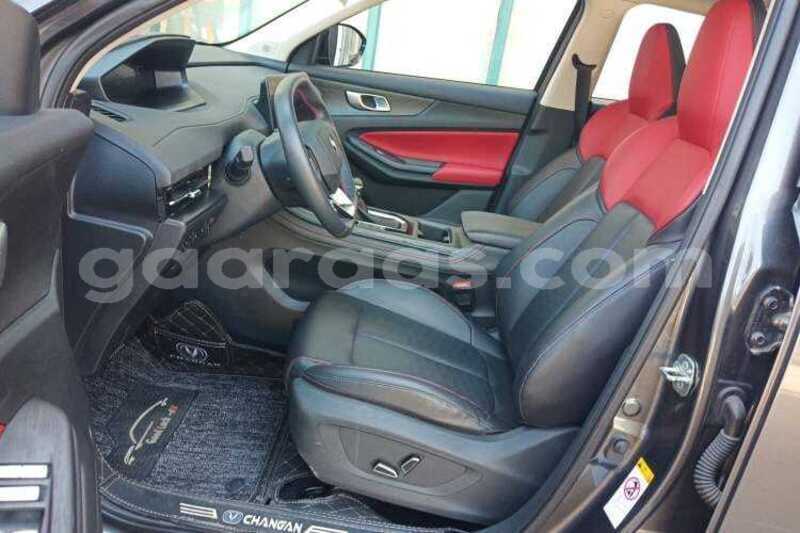 Big with watermark changan cs55 dakar dakar 34878