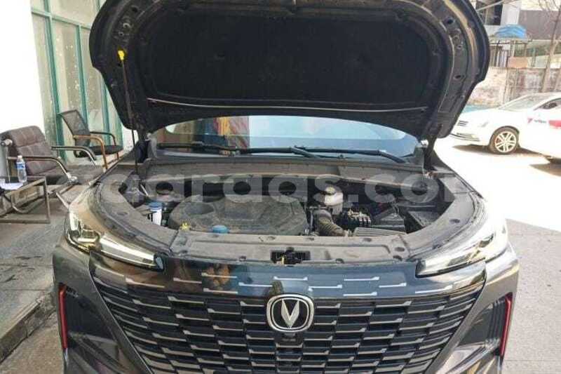 Big with watermark changan cs55 dakar dakar 34878