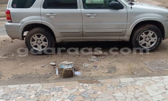 Dieundeu Occasion Ford Escape Silver Auto in Dakar in Dakar Dieundeu Occasion Ford Escape Silver Auto in Dakar in Dakar