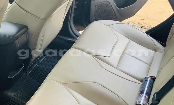 Acheter Occasion Voiture Ford Focus Gris à Dakar, Dakar Acheter Occasion Voiture Ford Focus Gris à Dakar, Dakar