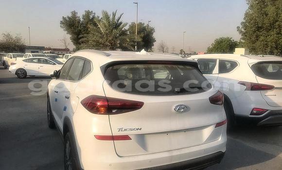 Buy New Hyundai Tucson White Car in Import - Dubai in Diourbel Buy New Hyundai Tucson White Car in Import - Dubai in Diourbel