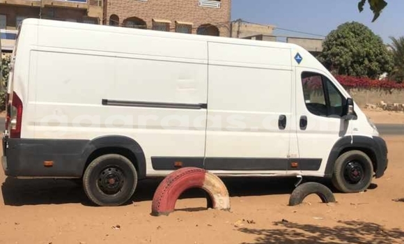 Buy Import Fiat Fiorino White Car in Dakar in Dakar