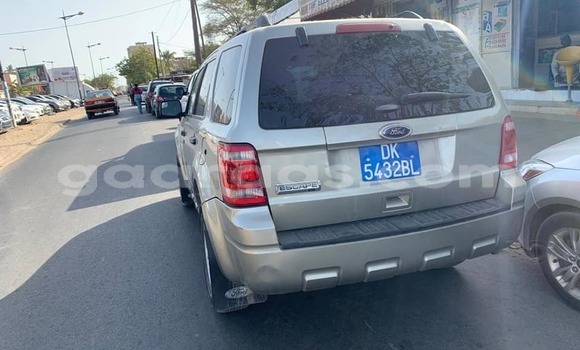 Dieundeu Occasion Ford Escape Silver Auto in Dakar in Dakar Dieundeu Occasion Ford Escape Silver Auto in Dakar in Dakar