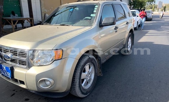 Dieundeu Occasion Ford Escape Silver Auto in Dakar in Dakar Dieundeu Occasion Ford Escape Silver Auto in Dakar in Dakar