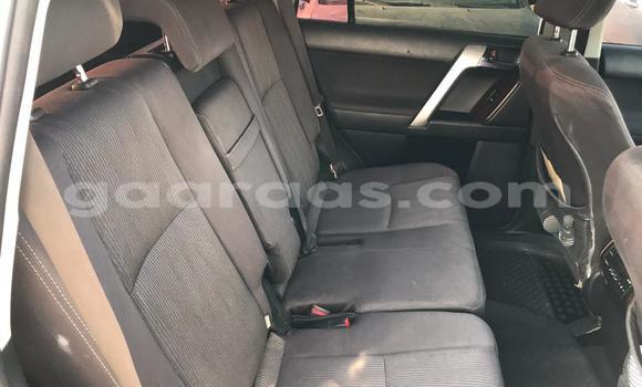 Buy Import Toyota Land Cruiser Prado Black Car in Dakar in Dakar Buy Import Toyota Land Cruiser Prado Black Car in Dakar in Dakar