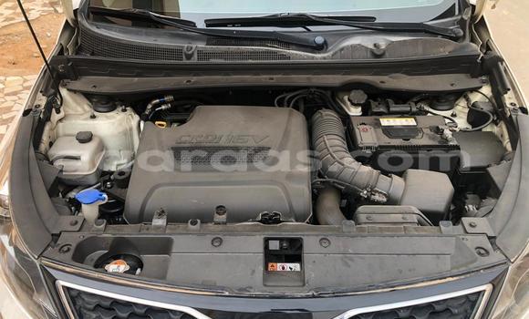 Buy Import Kia Sportage White Car in Dakar in Dakar Buy Import Kia Sportage White Car in Dakar in Dakar