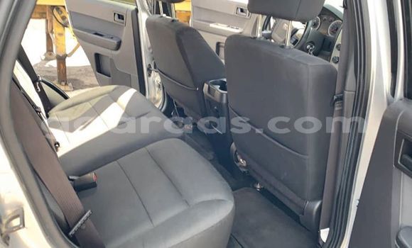 Buy Used Ford Escape Silver Car in Dakar in Dakar Buy Used Ford Escape Silver Car in Dakar in Dakar