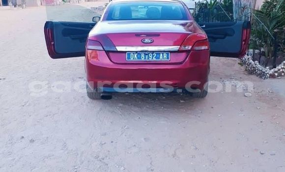 Buy Used Ford Focus Red Car in Dakar in Dakar Buy Used Ford Focus Red Car in Dakar in Dakar