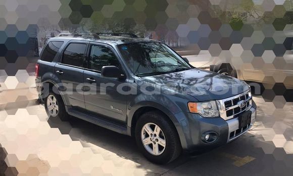 Dieundeu Occasion Ford Escape Blue Auto in Dakar in Dakar Dieundeu Occasion Ford Escape Blue Auto in Dakar in Dakar