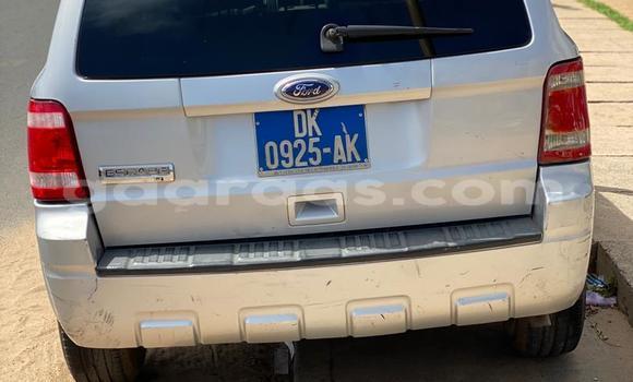 Buy Used Ford Escape Silver Car in Dakar in Dakar Buy Used Ford Escape Silver Car in Dakar in Dakar