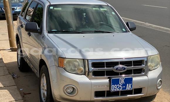 Buy Used Ford Escape Silver Car in Dakar in Dakar Buy Used Ford Escape Silver Car in Dakar in Dakar