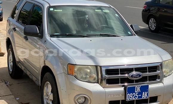 Buy Used Ford Escape Silver Car in Dakar in Dakar Buy Used Ford Escape Silver Car in Dakar in Dakar