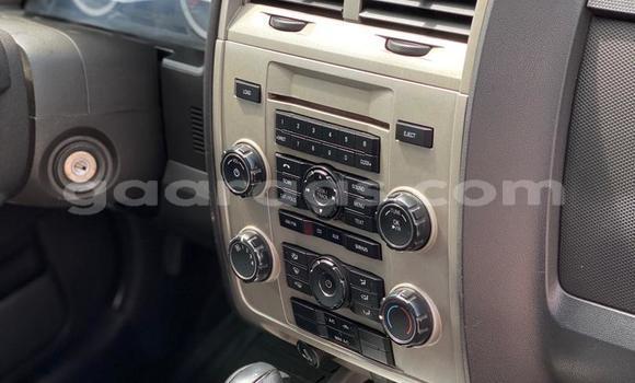 Buy Used Ford Escape Silver Car in Dakar in Dakar Buy Used Ford Escape Silver Car in Dakar in Dakar