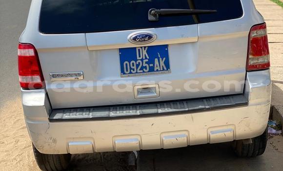 Buy Used Ford Escape Silver Car in Dakar in Dakar Buy Used Ford Escape Silver Car in Dakar in Dakar