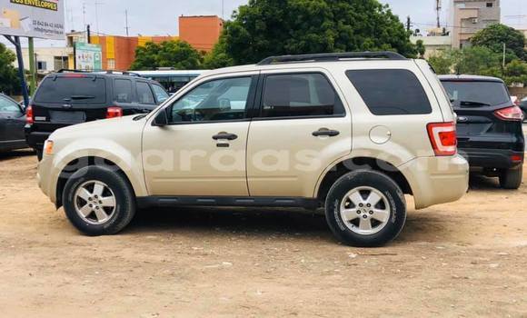 Acheter Occasion Voiture Ford Escape Beige à Dakar, Dakar Acheter Occasion Voiture Ford Escape Beige à Dakar, Dakar