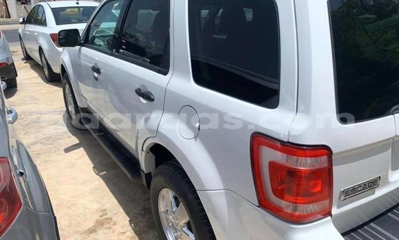 Acheter Occasion Voiture Ford Escape Blanc à Dakar, Dakar Acheter Occasion Voiture Ford Escape Blanc à Dakar, Dakar