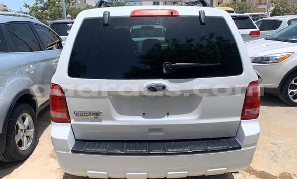 Acheter Occasion Voiture Ford Escape Blanc à Dakar, Dakar Acheter Occasion Voiture Ford Escape Blanc à Dakar, Dakar