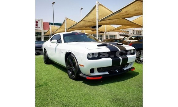 Acheter Import Voiture Dodge Challenger Blanc à Import - Dubai, Dakar